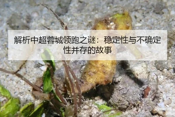 jie-xi-zhong-chao-rong-cheng-ling-pao-zhi-mi-wen-ding-xing-yu-bu-que-ding-xing-bing-cun-de-gu-shi-2-837.jpg