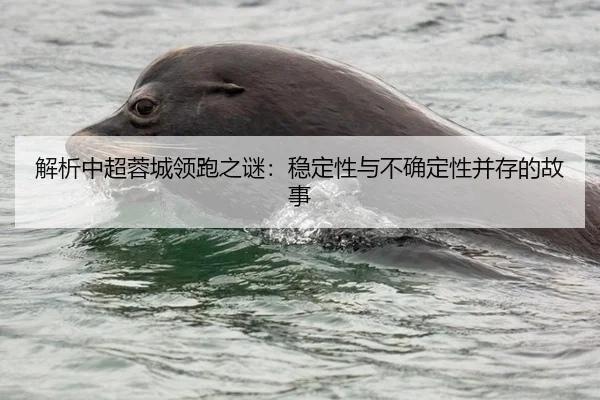 解析中超蓉城领跑之谜：稳定性与不确定性并存的故事